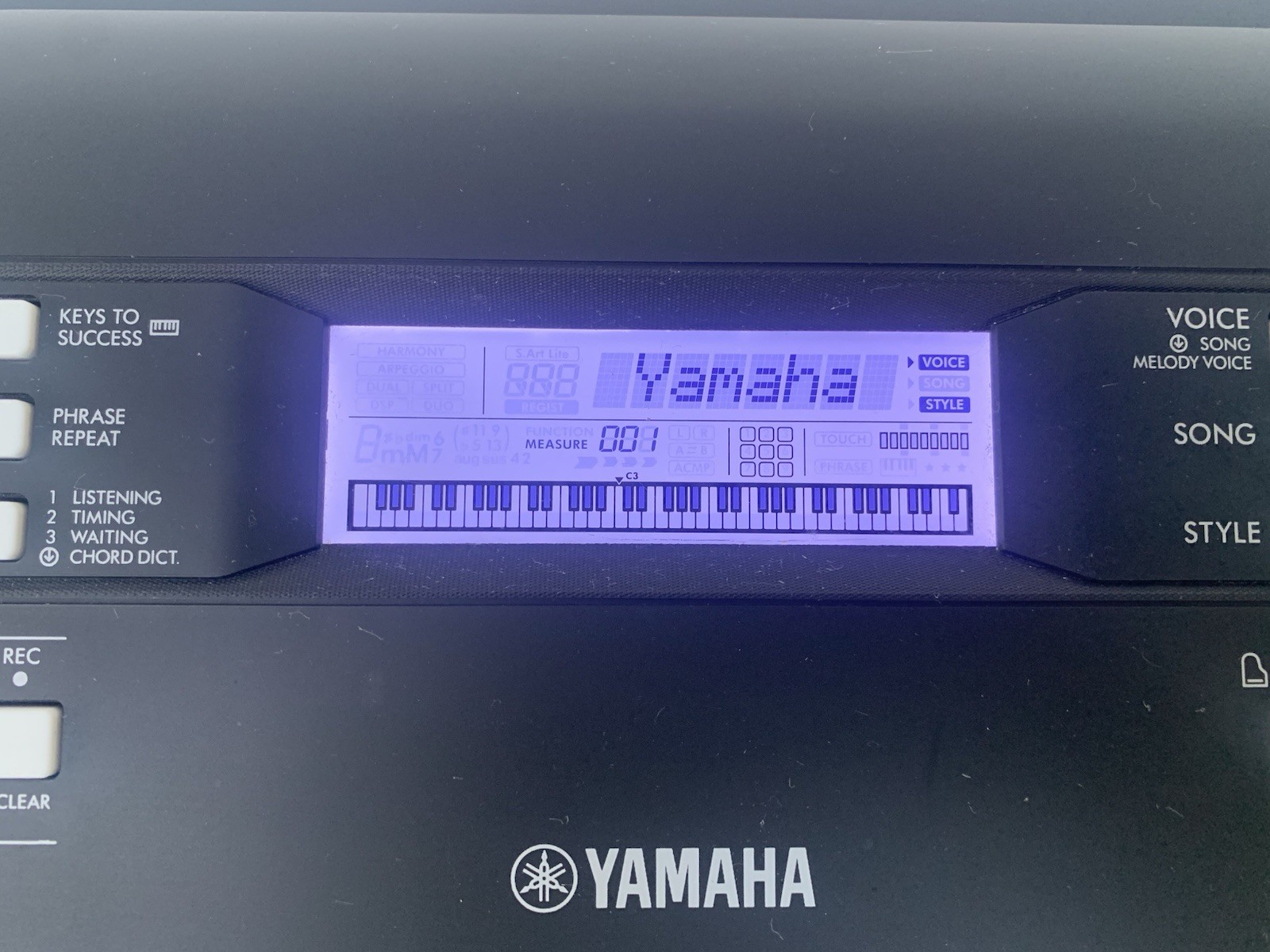 Yamaha PSR-EW310 76-Key Touch-Sensitive Portable Keyboard + Pro-Line PL2KD Stand