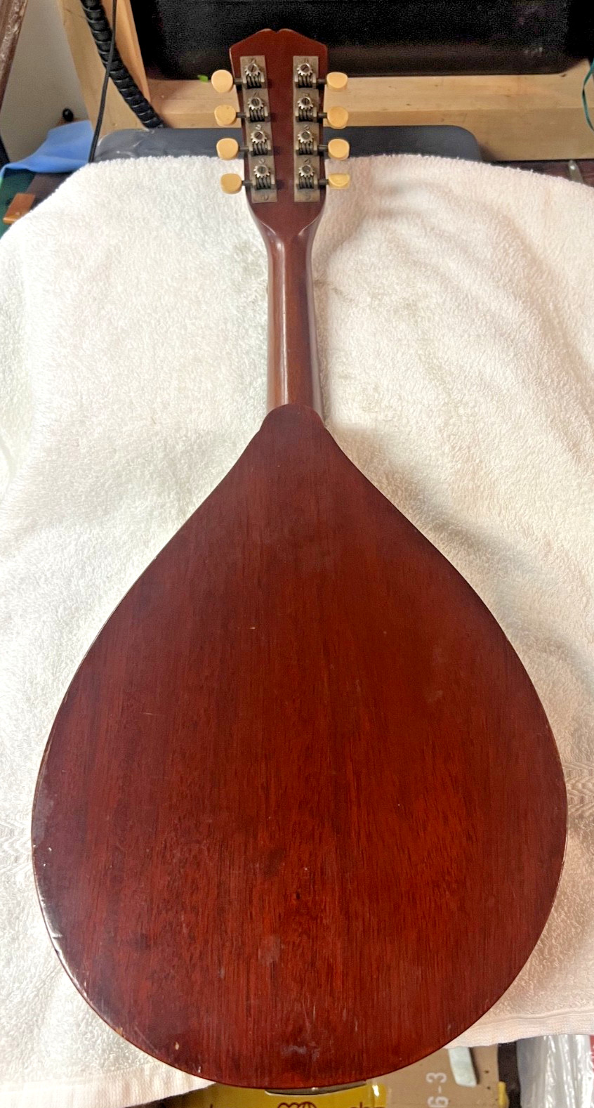 Rare 1916 Era Vega 8 String Flat Back Mandolin Serial 37302