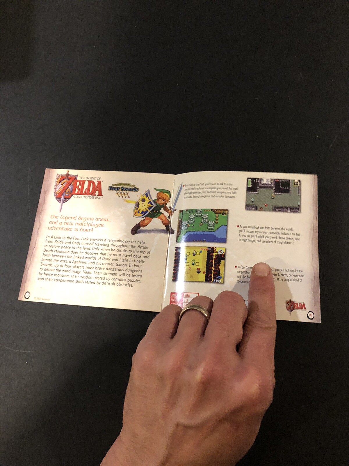 Nintendo gameboy advance journey is the beginning Insert