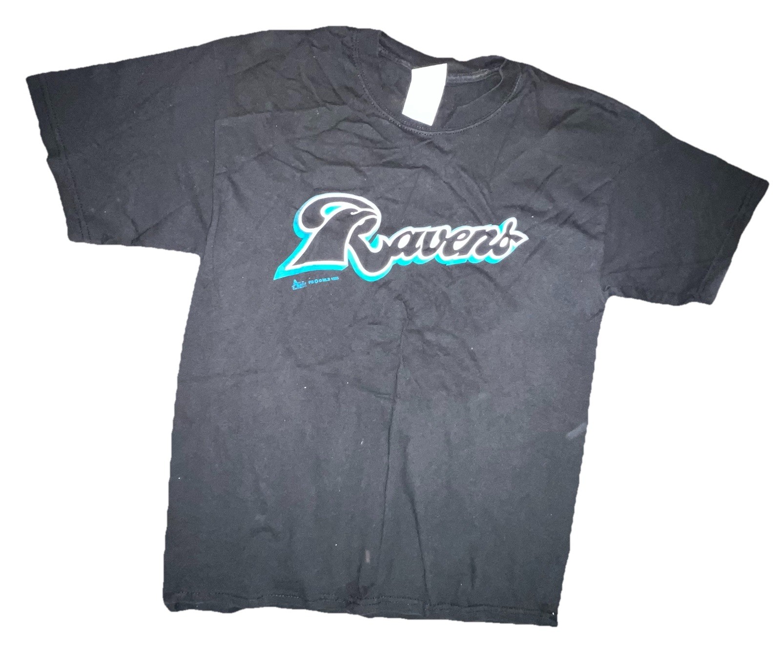 VTG 2000 New Haven Ravens T-Shirt Black Minor League Baseball Adult Large
