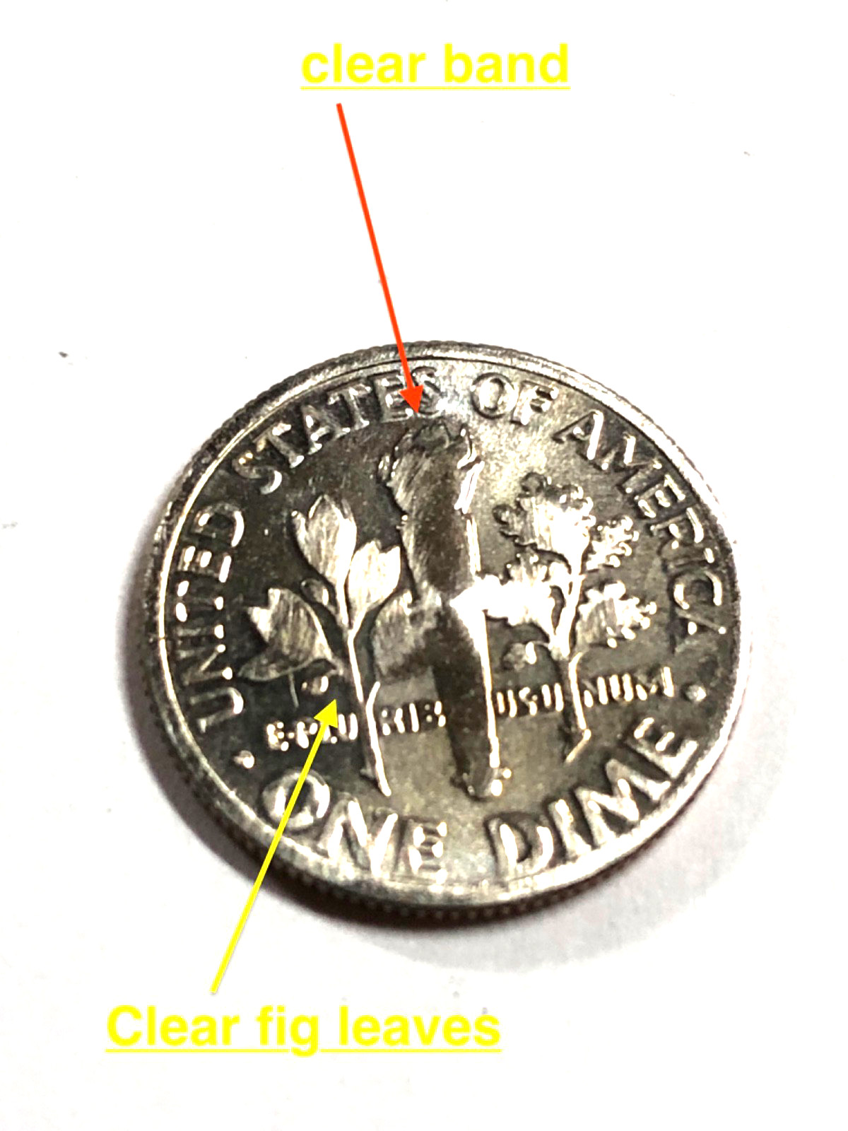 2022 P Roosevelt Dime Clade No detail on the Reverse smooth Band /flame  #P742