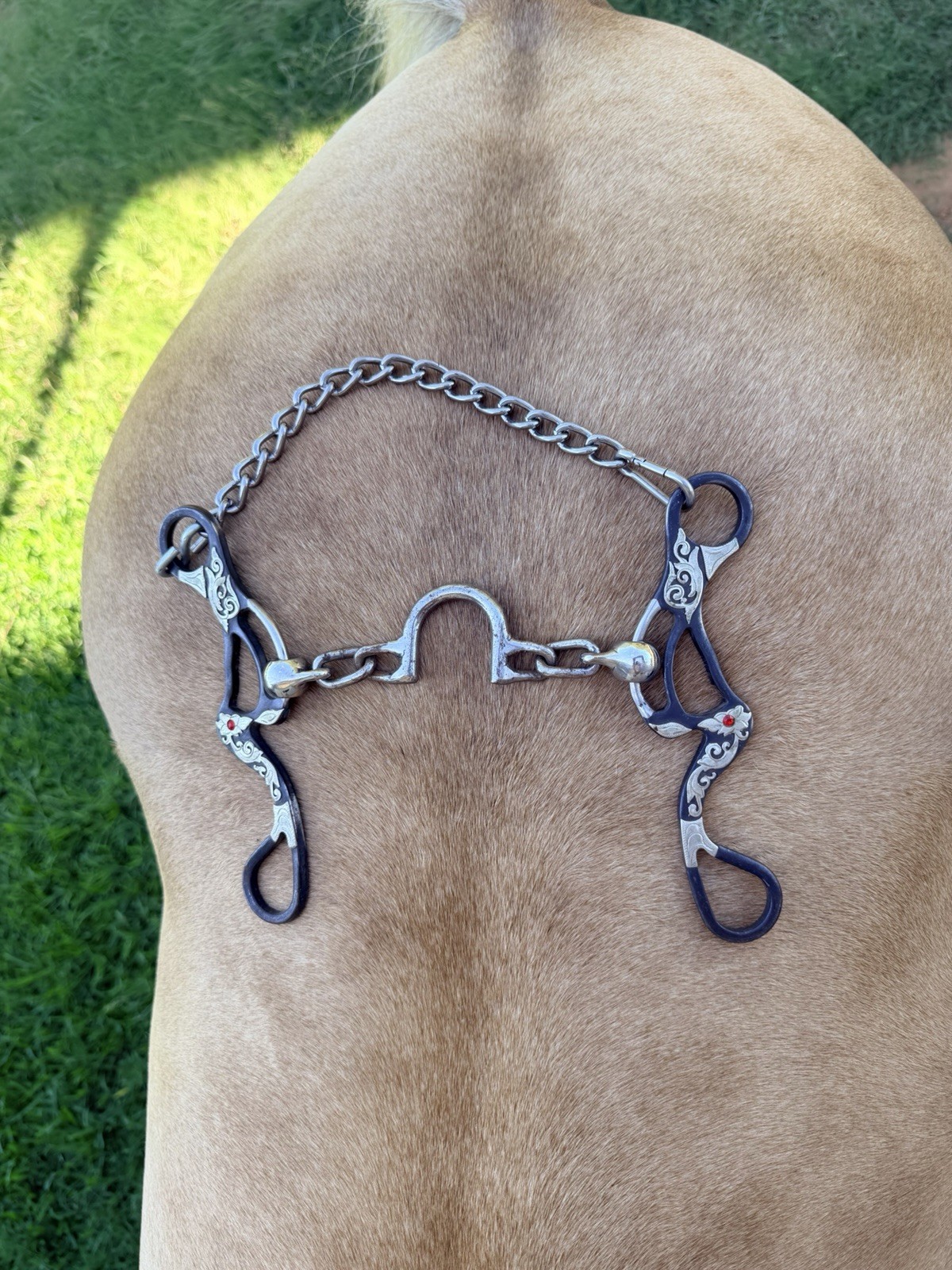 TYLER MAGNUS SERIES CHAIN C PORT BIT