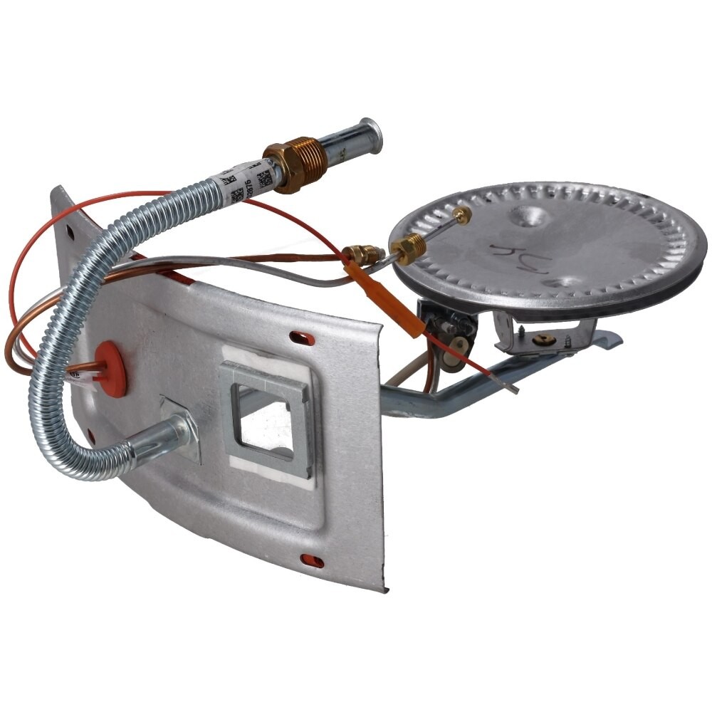 Rheem SP43705 Burner Assembly - 18 in. Kit