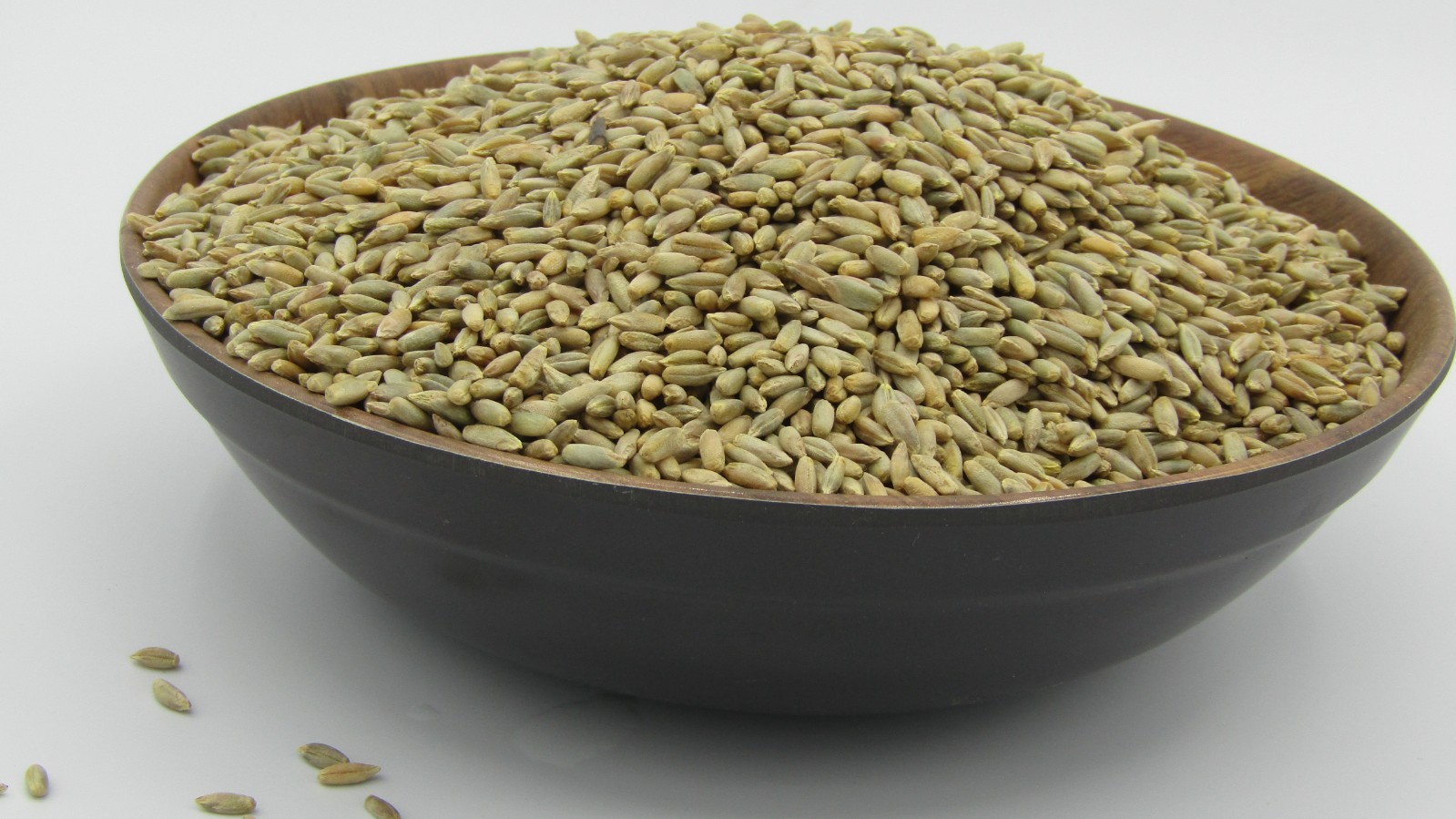 Organic Rye berry grain 5 LB. No fungicides, pesticides for mushroom substrate!