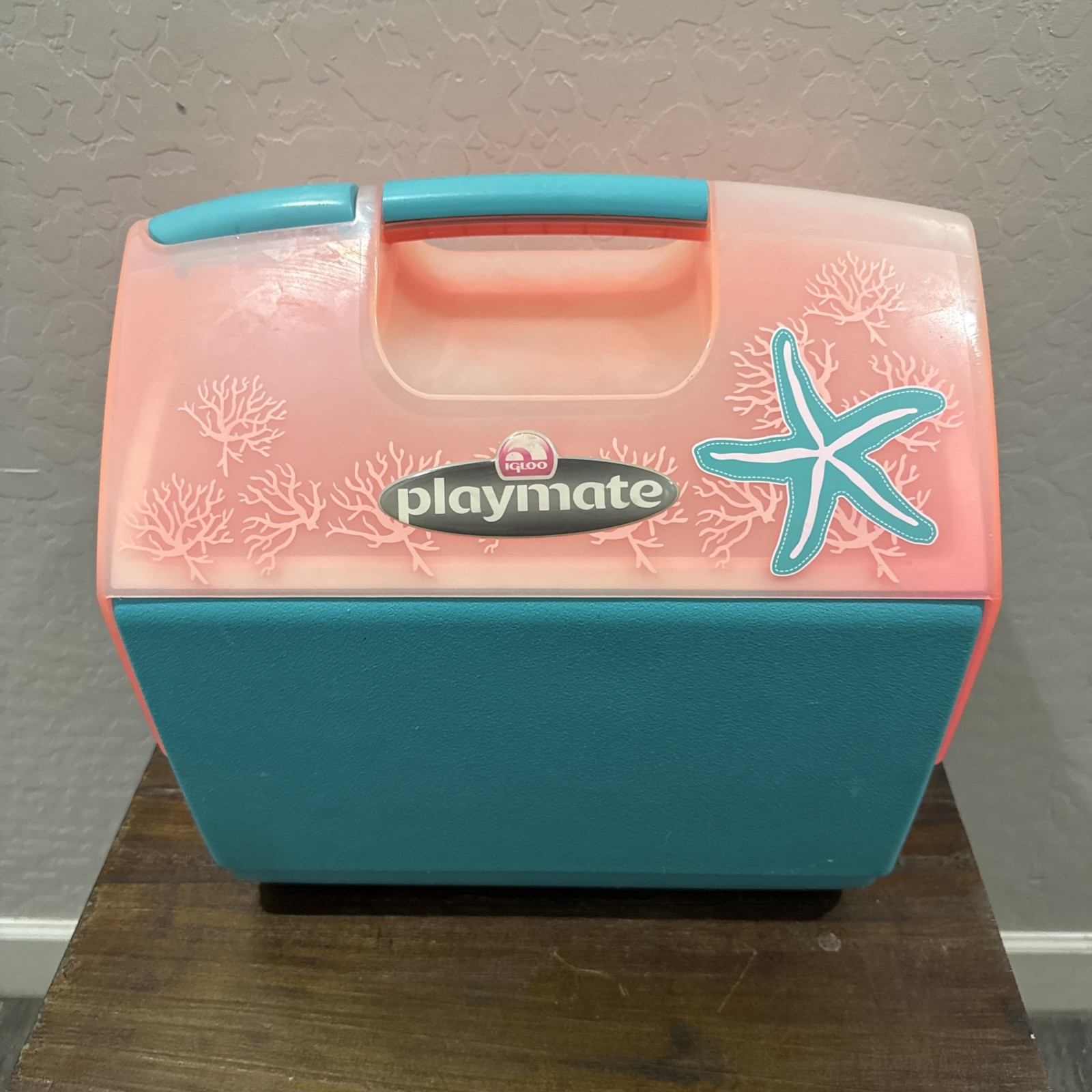 Rare VTG Pink & Teal Starfish Coral Igloo Playmate EUC