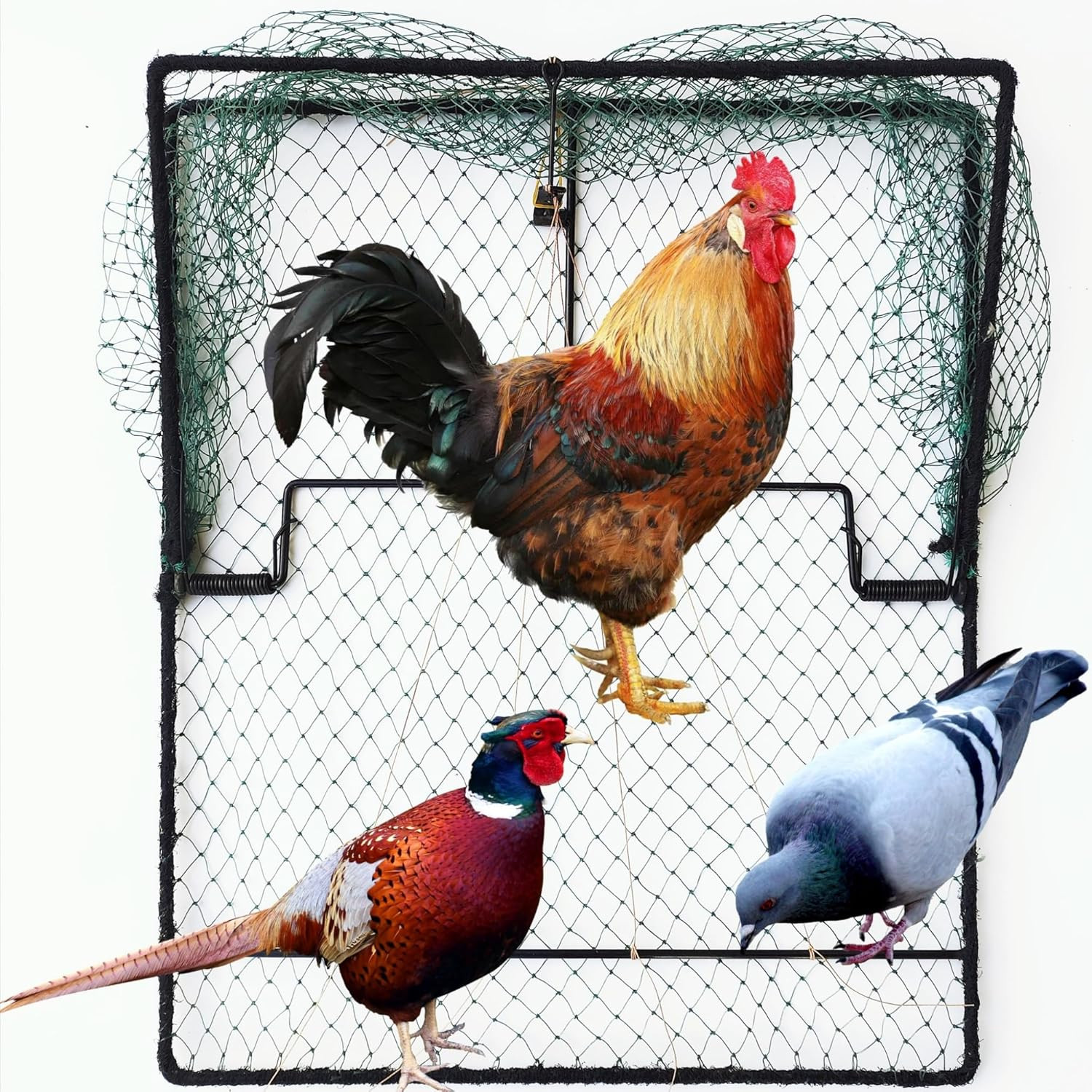 Pigeon Bird Trap Trapping Chicken Quail 2 Pack Spring Starling Catching Net Trap