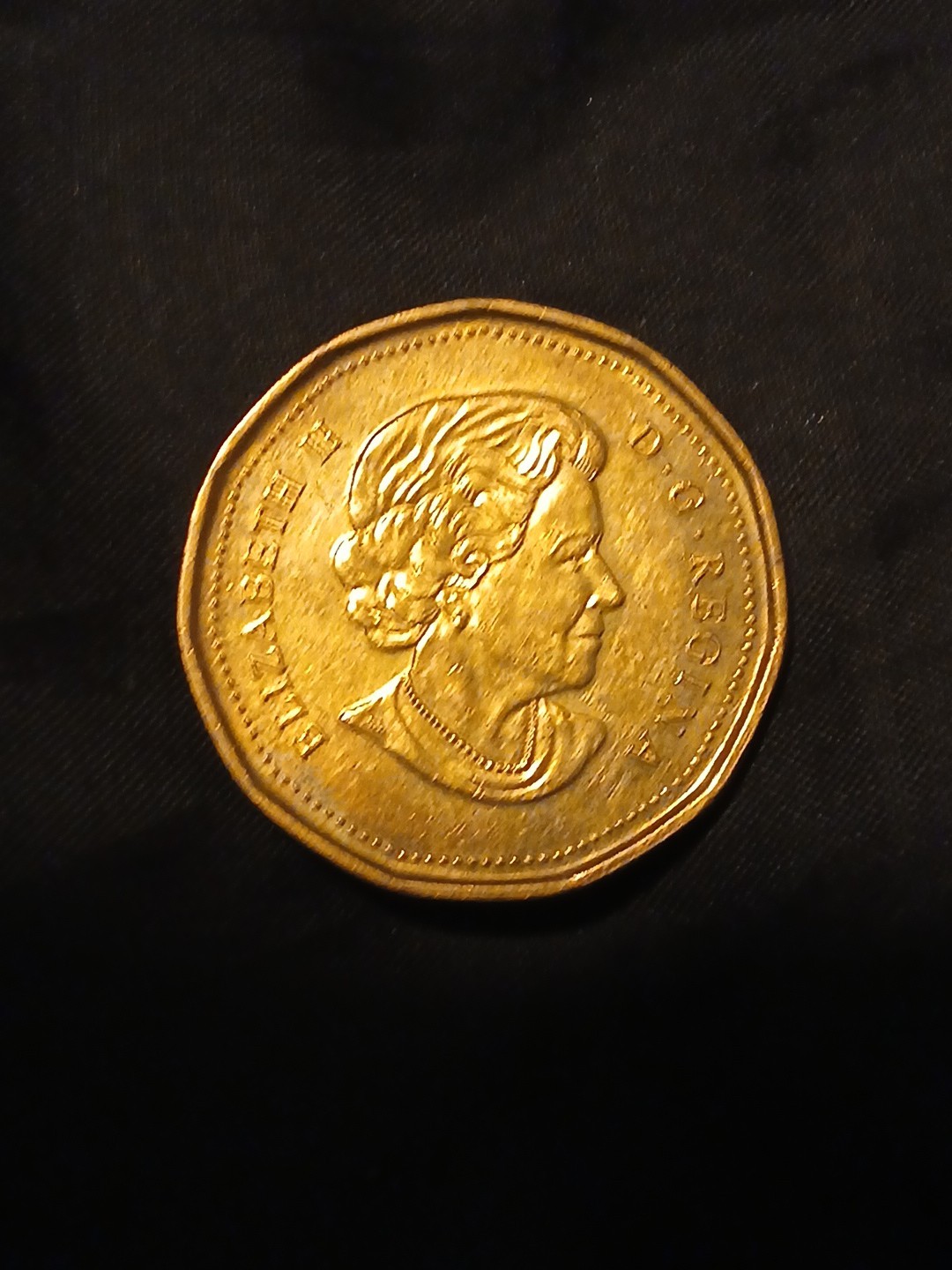 Canada 1 Dollar Elizabeth II Canadian Navy Marine Coin 1910-2010 Circulated