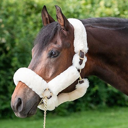 Perri's Perris Sheepskin Shipping Halter