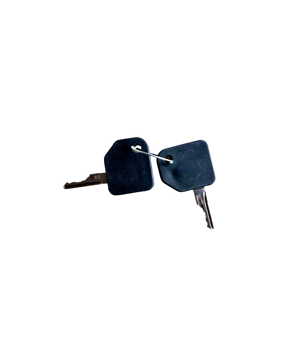 47457834-86502201-Ignition Switch Key For New Holland Original (2pc)