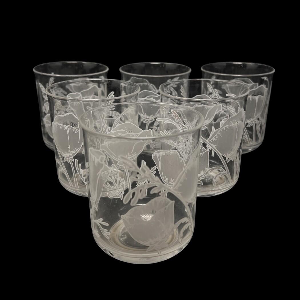 Set of 6 Vintage Culver Floral  Poppy Plastic Cups Highball Glasses Tumbler MCM