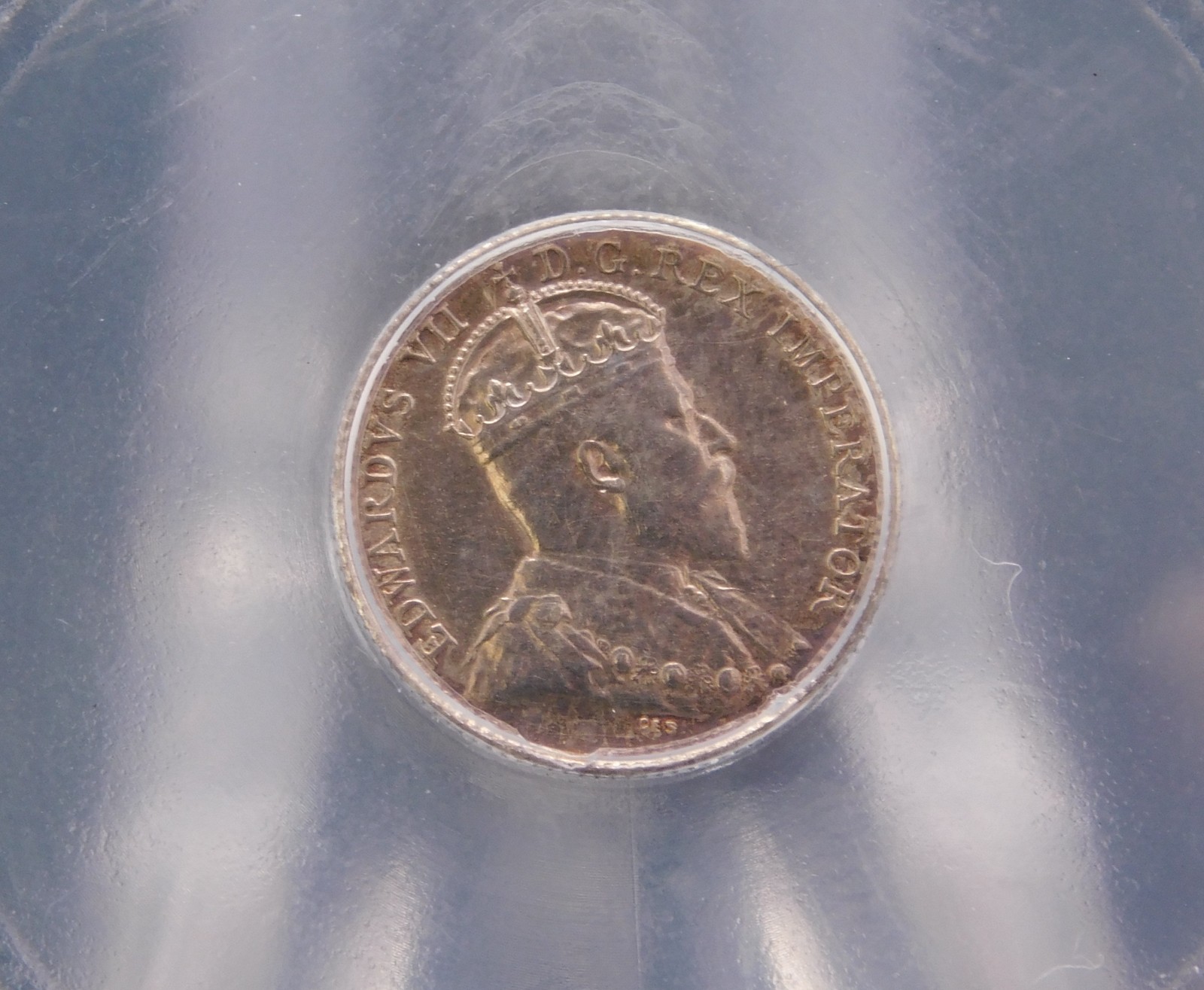 1903 CANADA FIVE CENT ICG MS 60 DETAILS (BT1255)