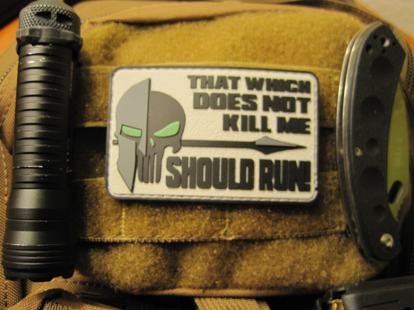 TACTICAL MORALE PATCH "THAT WHICH DOES NOT KILL ME SHOULD RUN" HOOK BACK LOOK!!