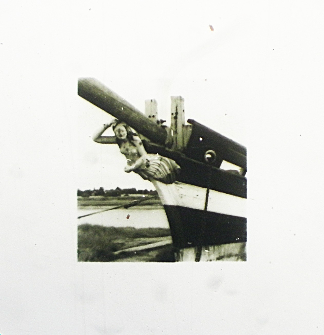 6 Vintage Microphotograph Slides. Please Read Labels for Descriptions.