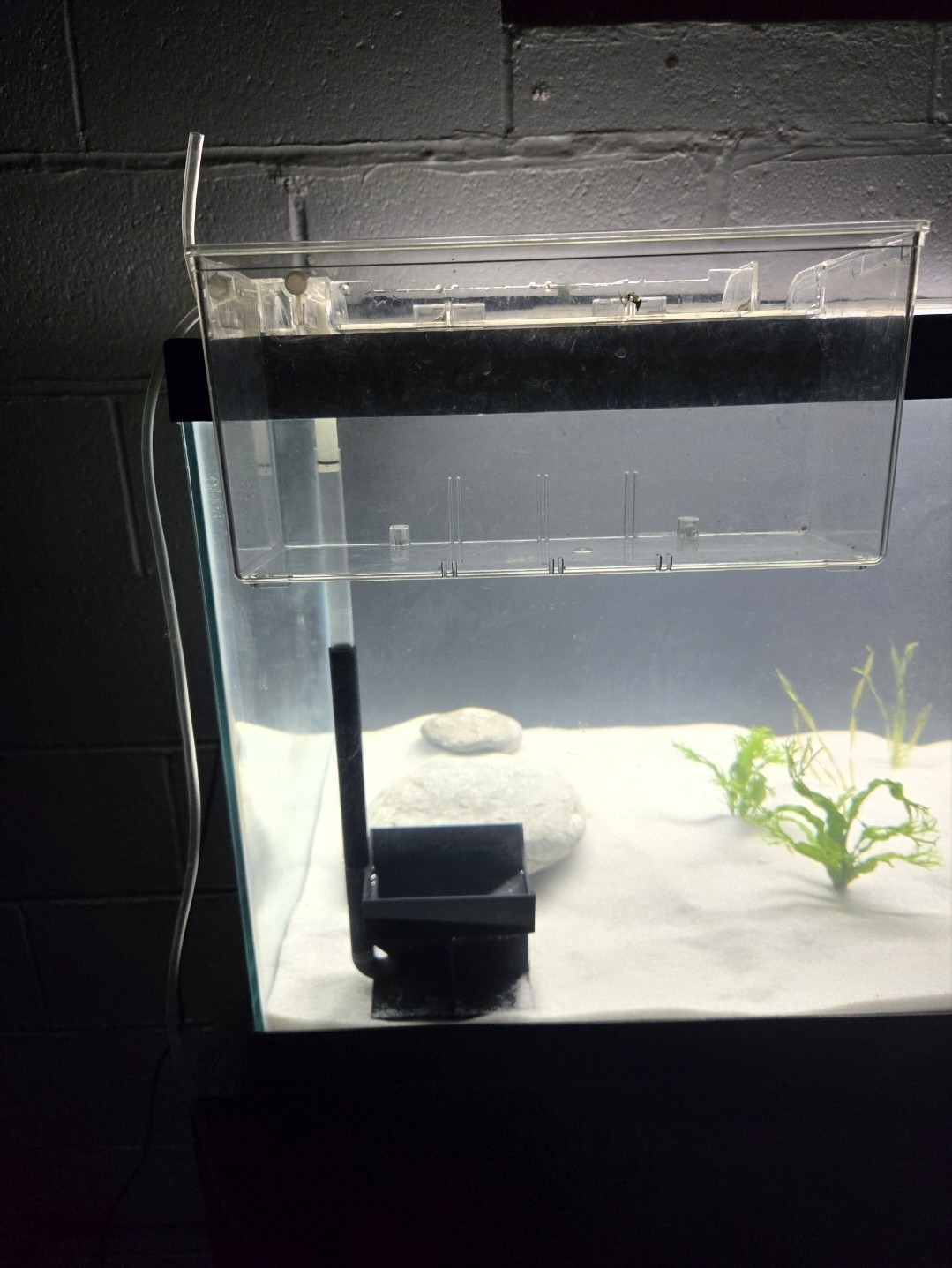 4x4 inch Fluval Breeder Box Egg Catcher