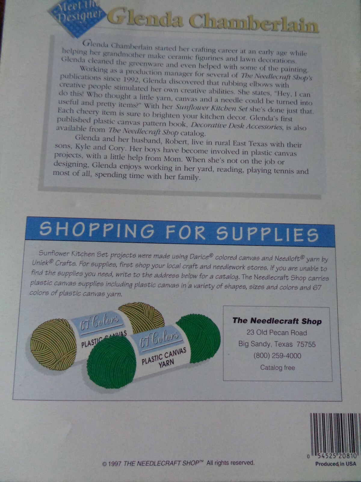 PLASTIC CANVAS PATTERNS SUNFLOWER KITCHEN SET CANISTERS ACCESSORIES PLACE MAT