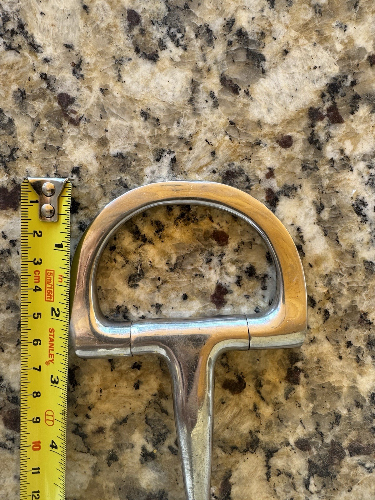 Stainless Steel D Ring Snaffle Bit