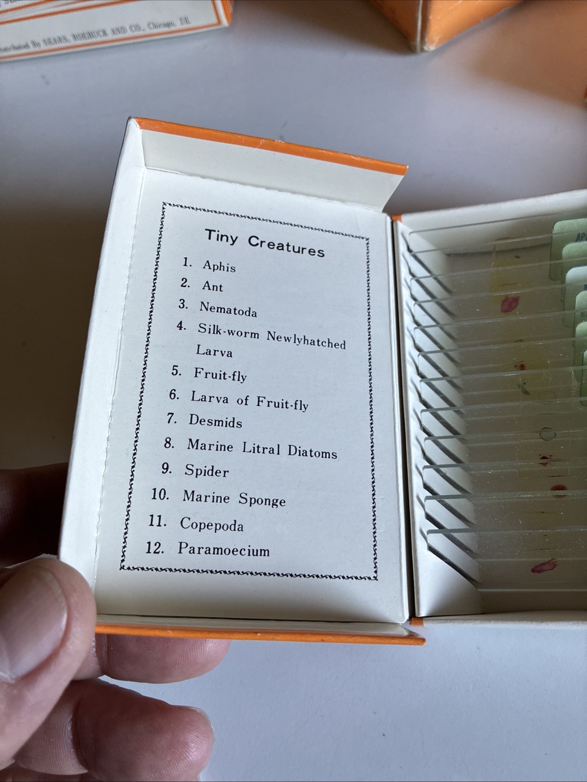 Vintage Sears 60 Prepared Microscope Slides 49 24037 Educational Specimens