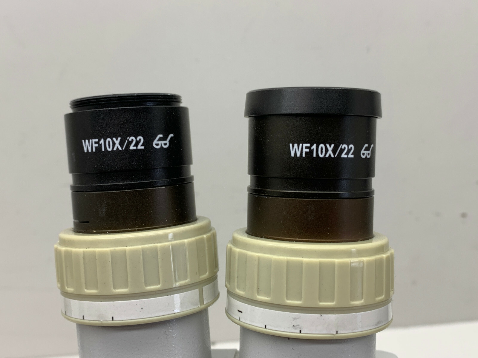 Horizon Optical Stereo Microscope Head with WF10x/22