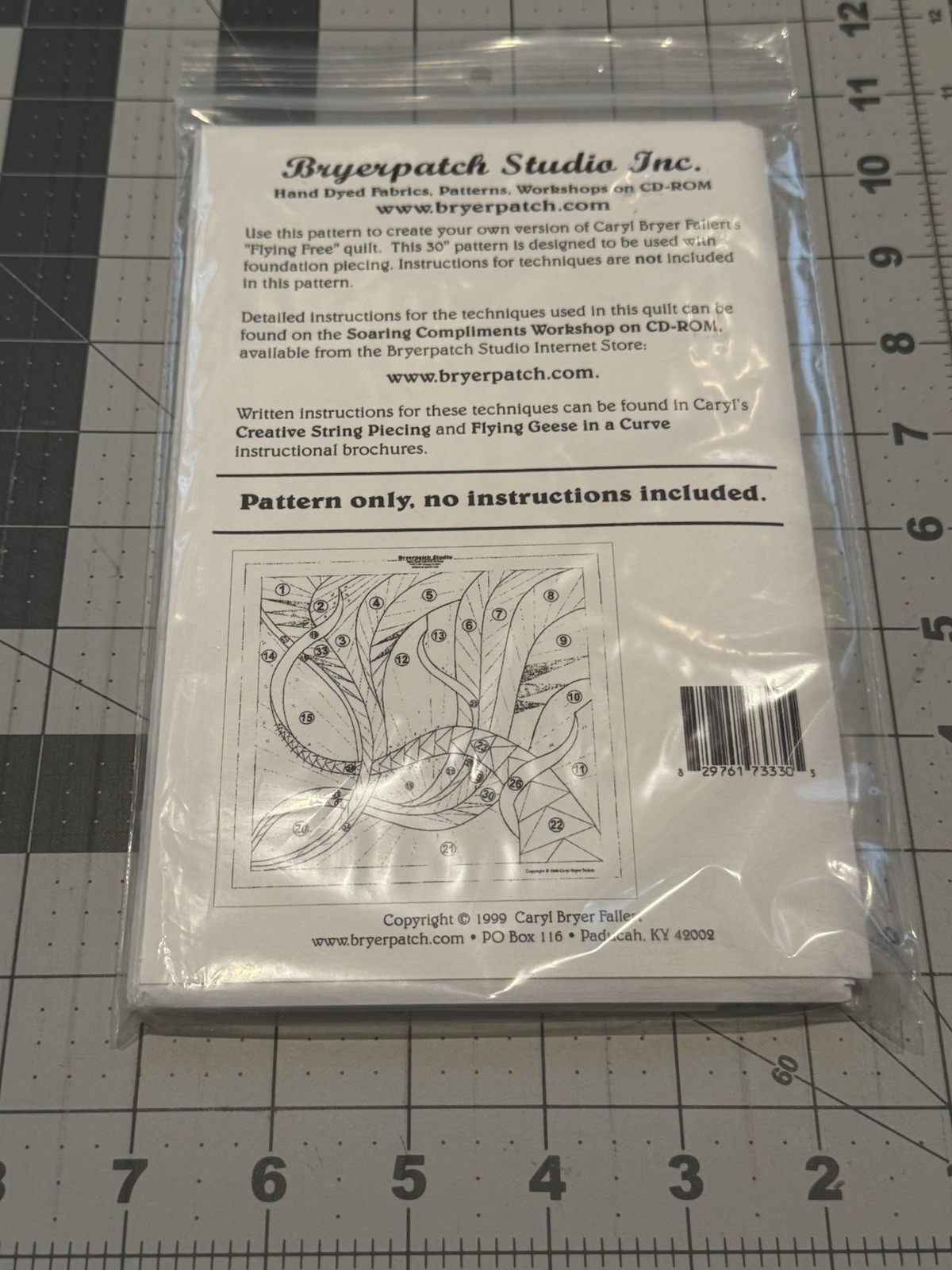 Caryl Bryer Fallert "Flying Free" 30" Wall Quilt Pattern Bryerpatch Studio