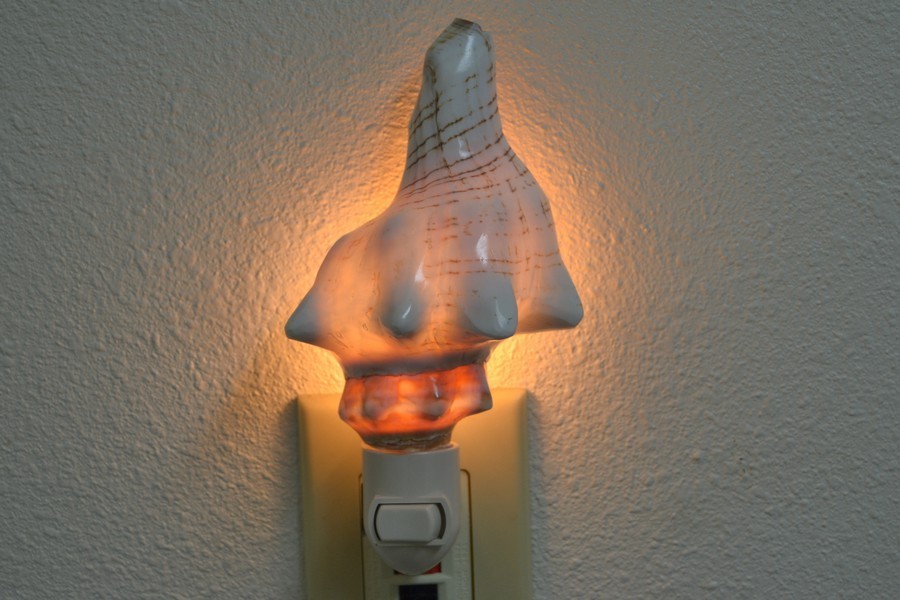 WHITE FOX CONCH SEA SHELL NIGHTLIGHT