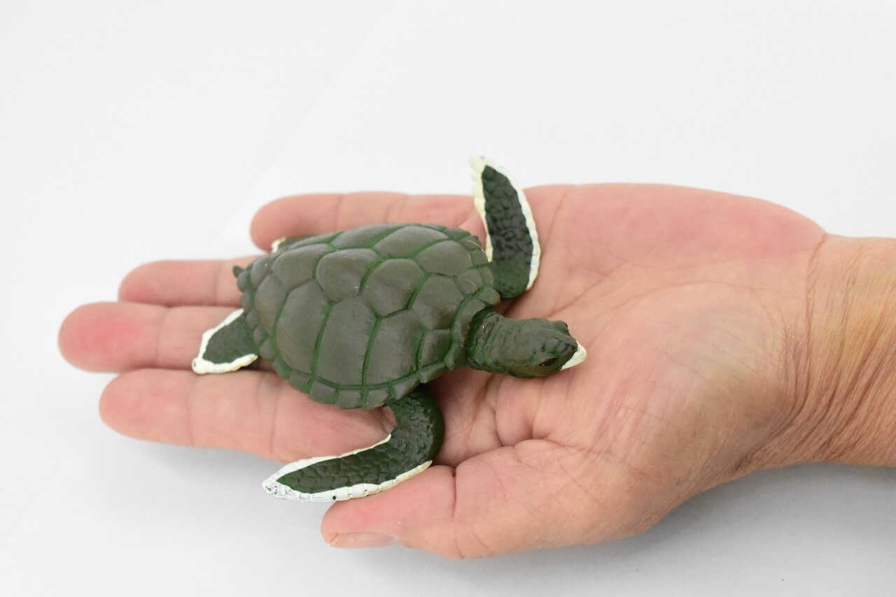 Green Sea Turtle, Realistic Toy Figure, Model, Replica, Gift, 4" CH319 BB131