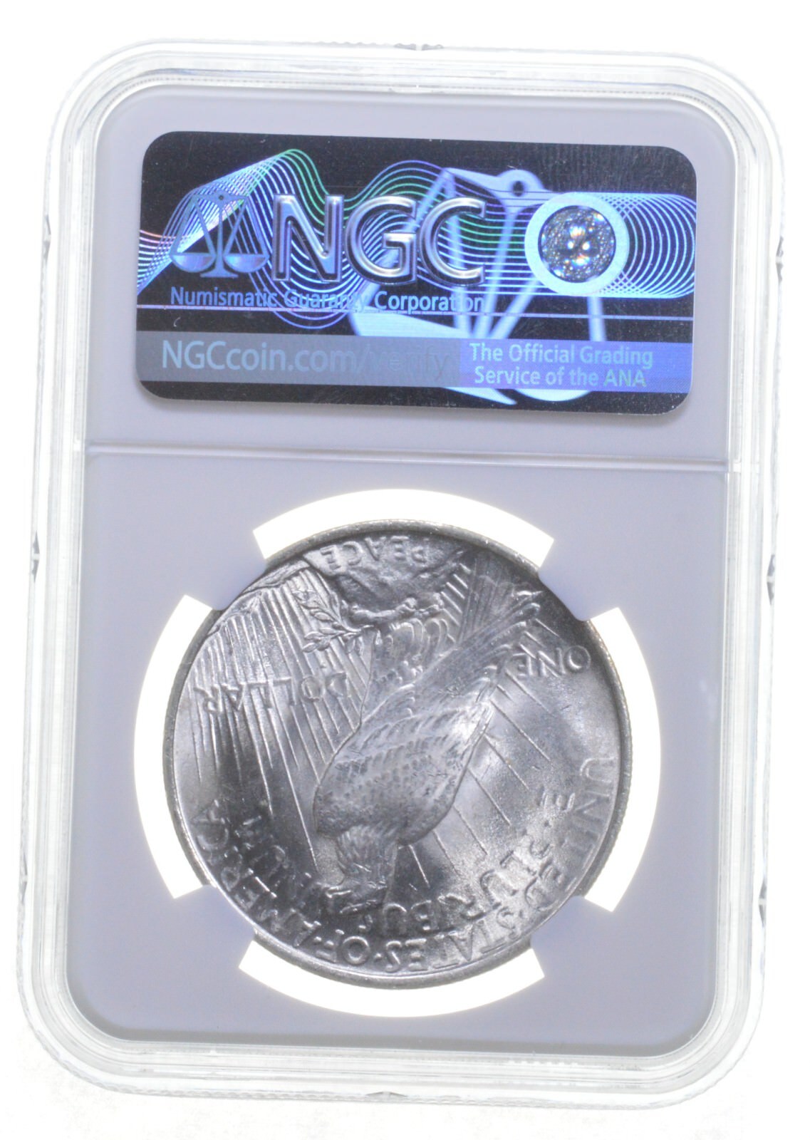 1923 Peace US Silver Dollar MS64 NGC Brown Label