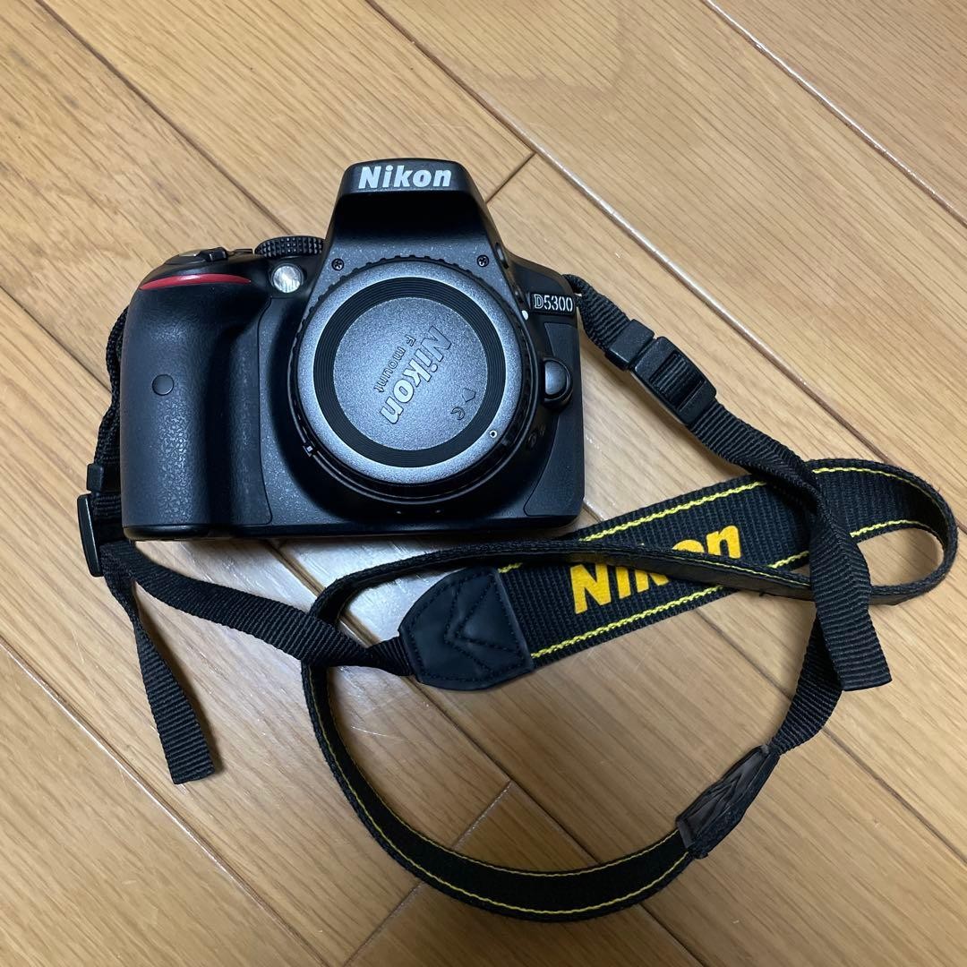 Nikon D5300 945134