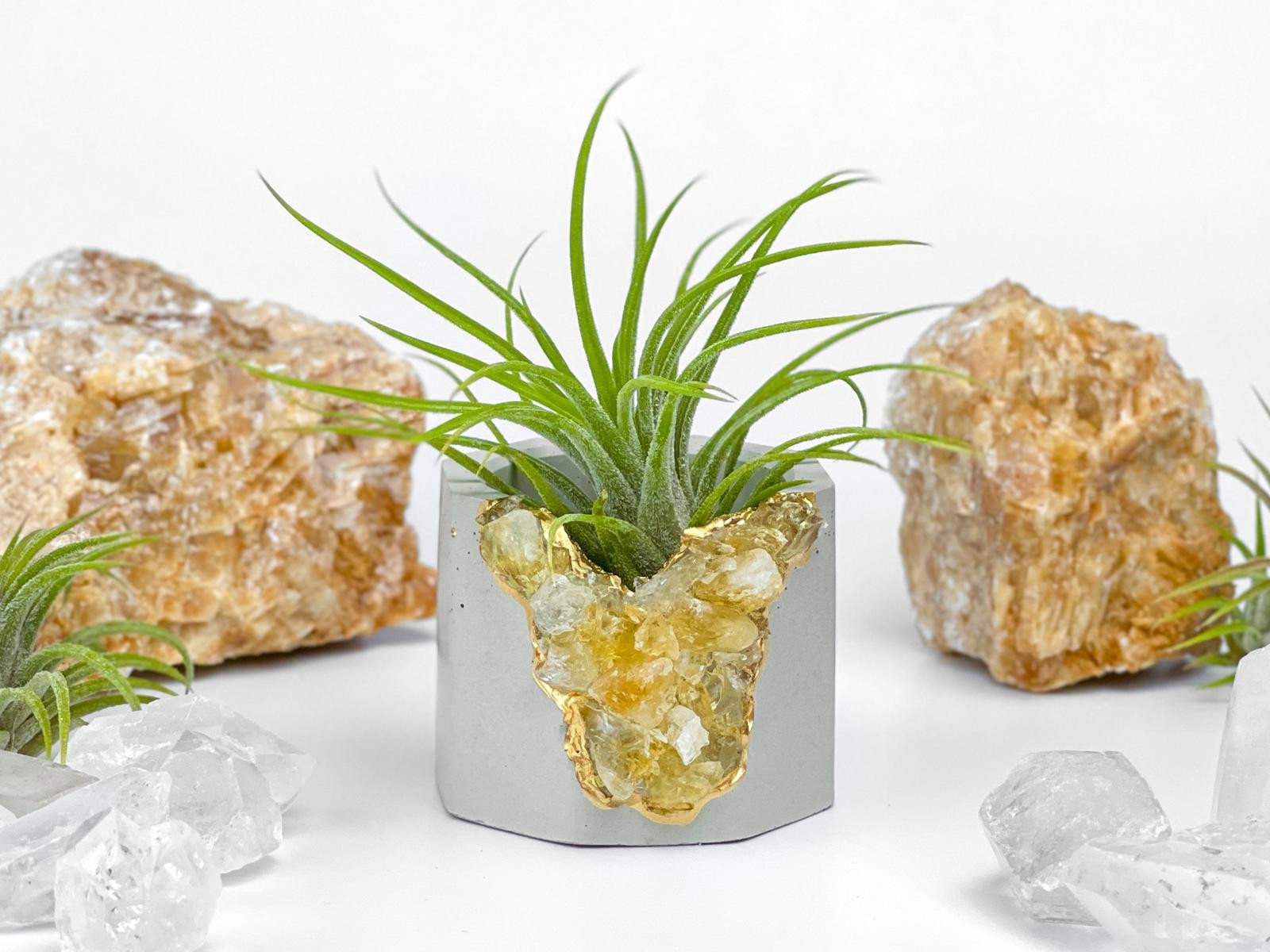 Raw Citrine Succulent Geode Planter Crystal Air Plant Holder