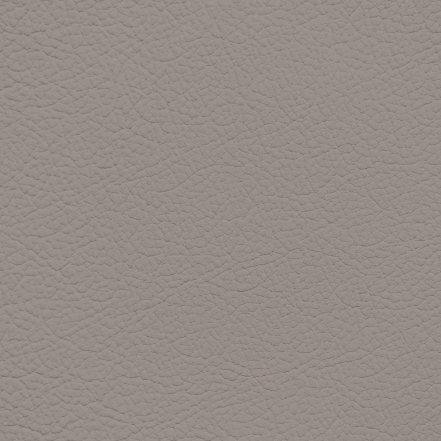 GM Medium Amos Leather Dye