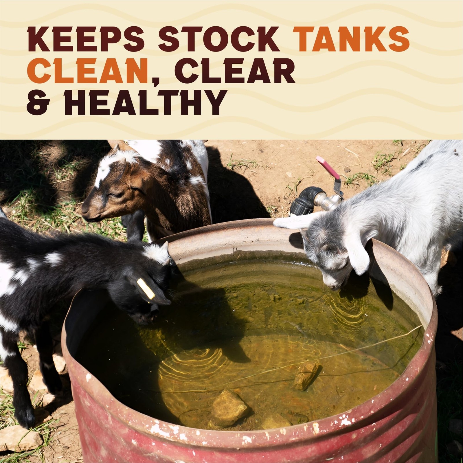 Stock Tank Clarifier - Improves Livestock Water by reducing buildup and Creat...