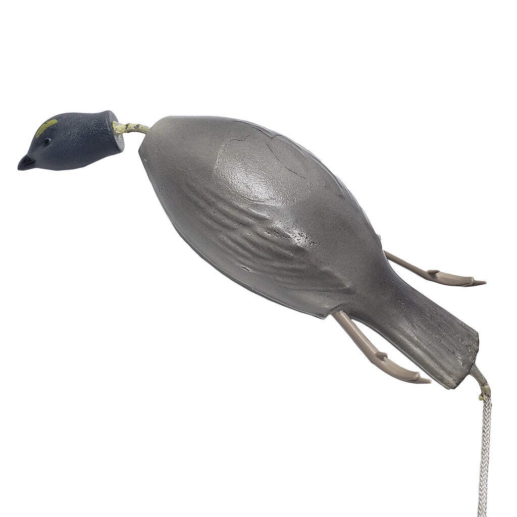 Dead Fowl Blue Grouse