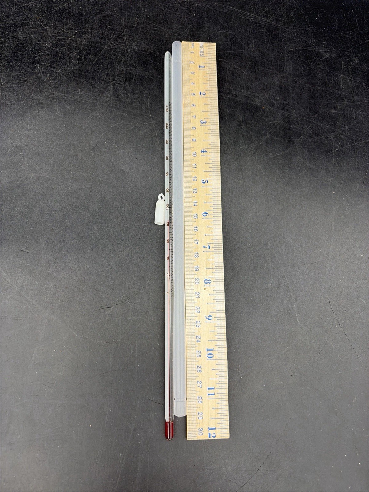 Glass Lab Thermometer 12 Inch, -20 to 110 Celsius, 230 F Degrees Laboratory