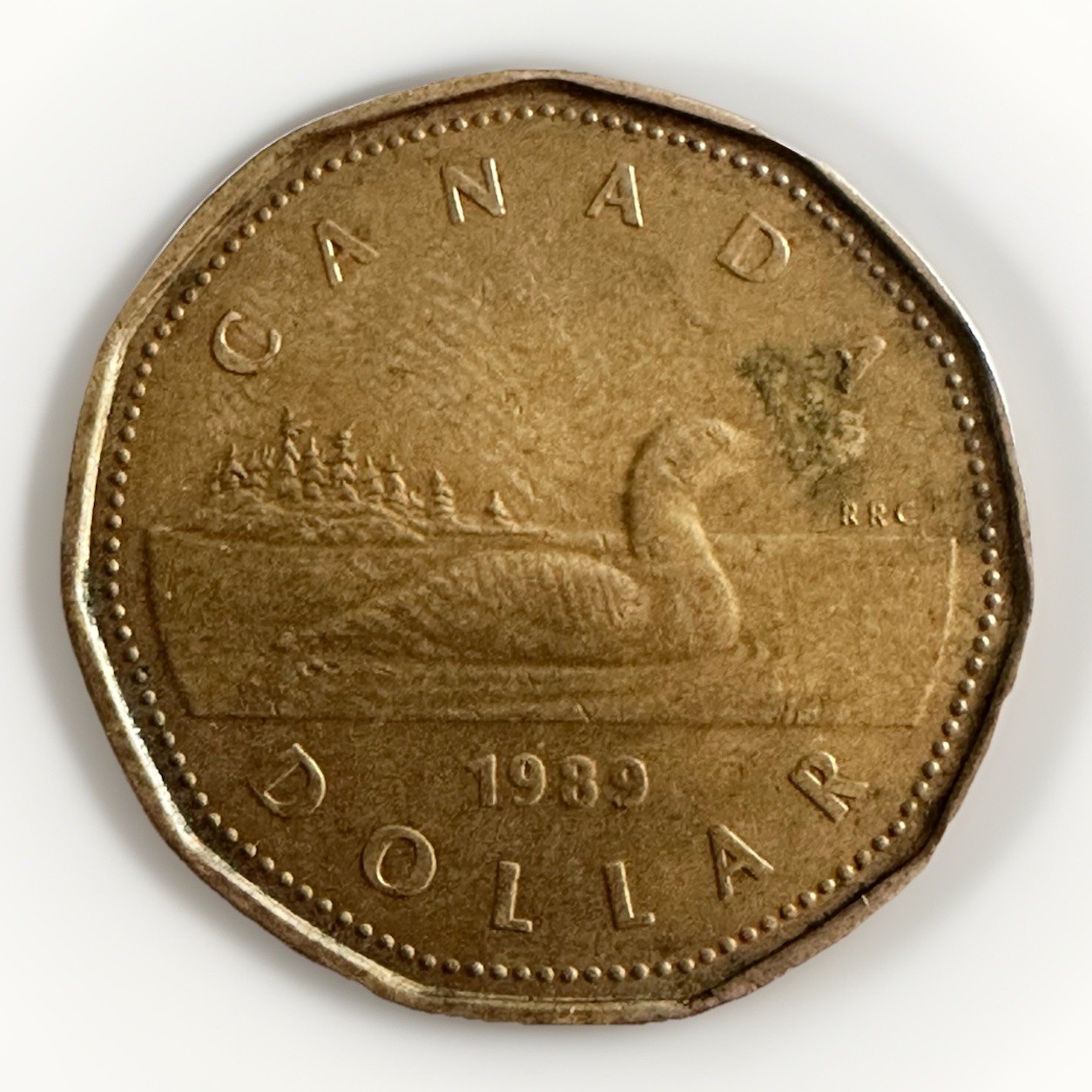1989 Queen Elizabeth II Canada One Dollar coin Circulated Uncertified
