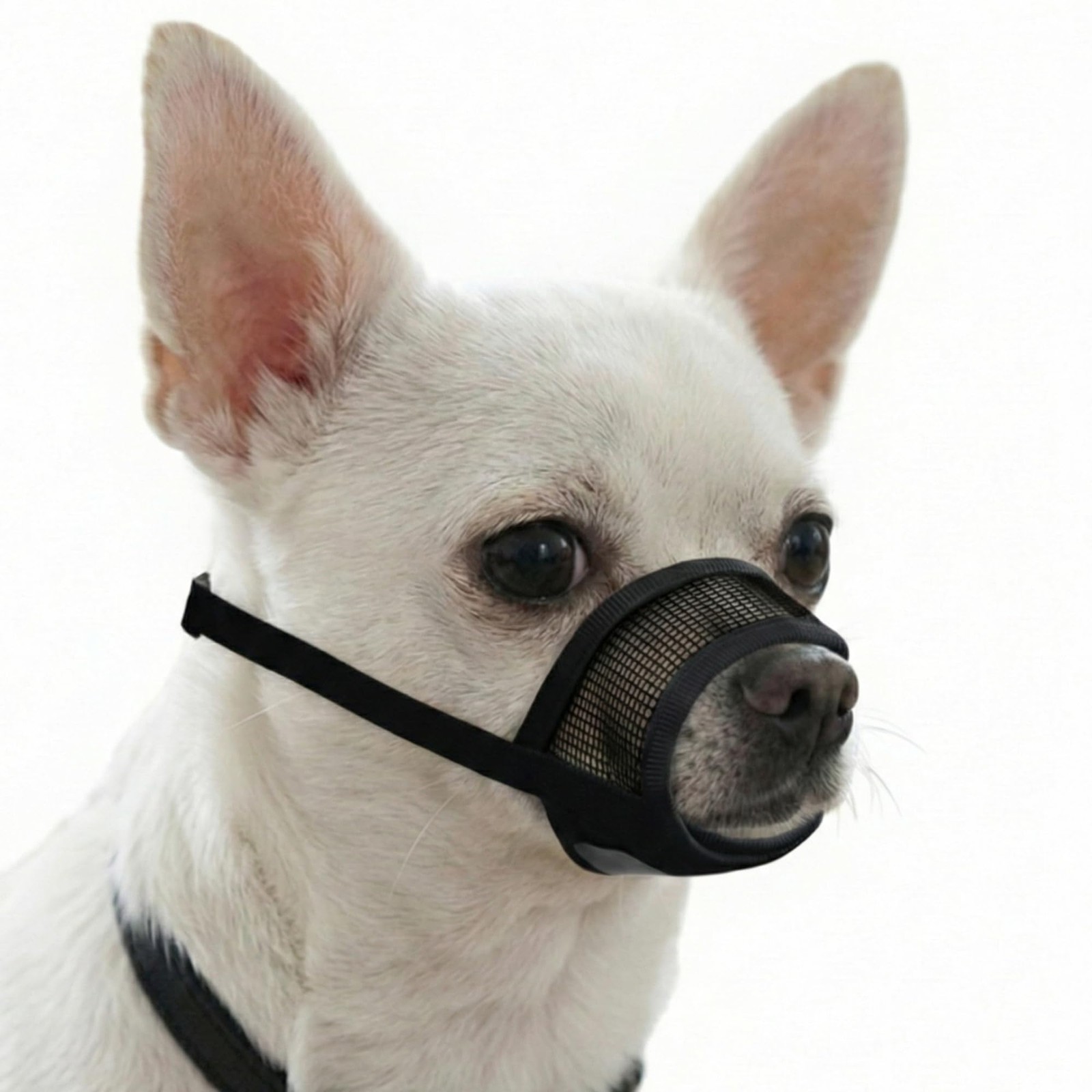 Evollax Dog Muzzle for Small Dogs - Soft Air Mesh Small, Black