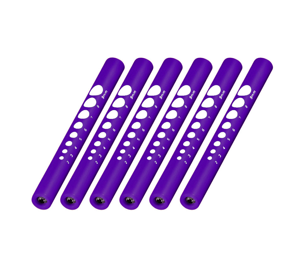 6pc LED Medical Diagnostic Pupil Gauge Penlight Pen Light  Lot US Seller PURPLE
