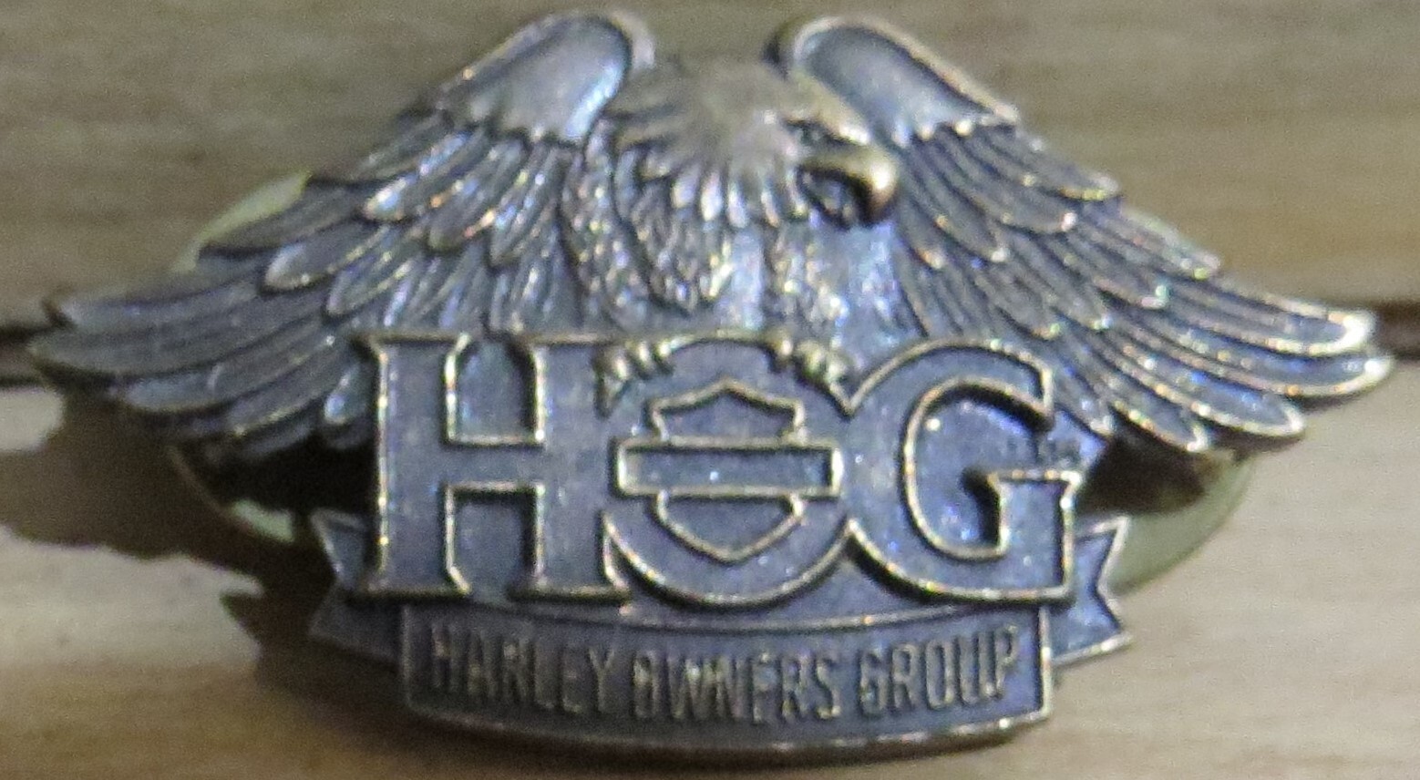 Harley Davidson HOG Harley Owners Group Patch and Pin 2013