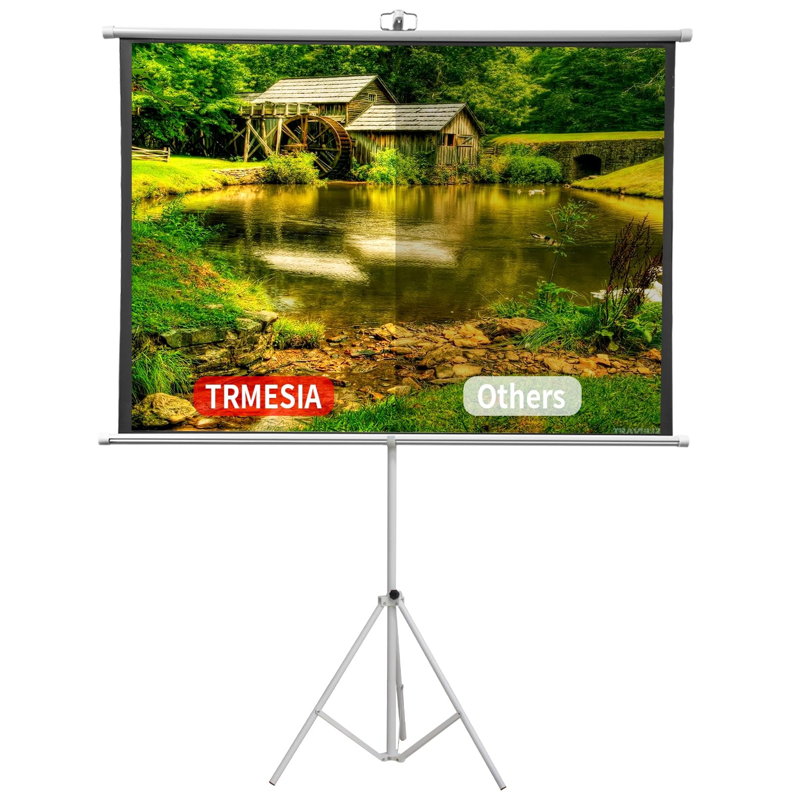 60 Inch Projector Screen Portable with Stand & Carry Bag, 4:3 Aspect Ratio