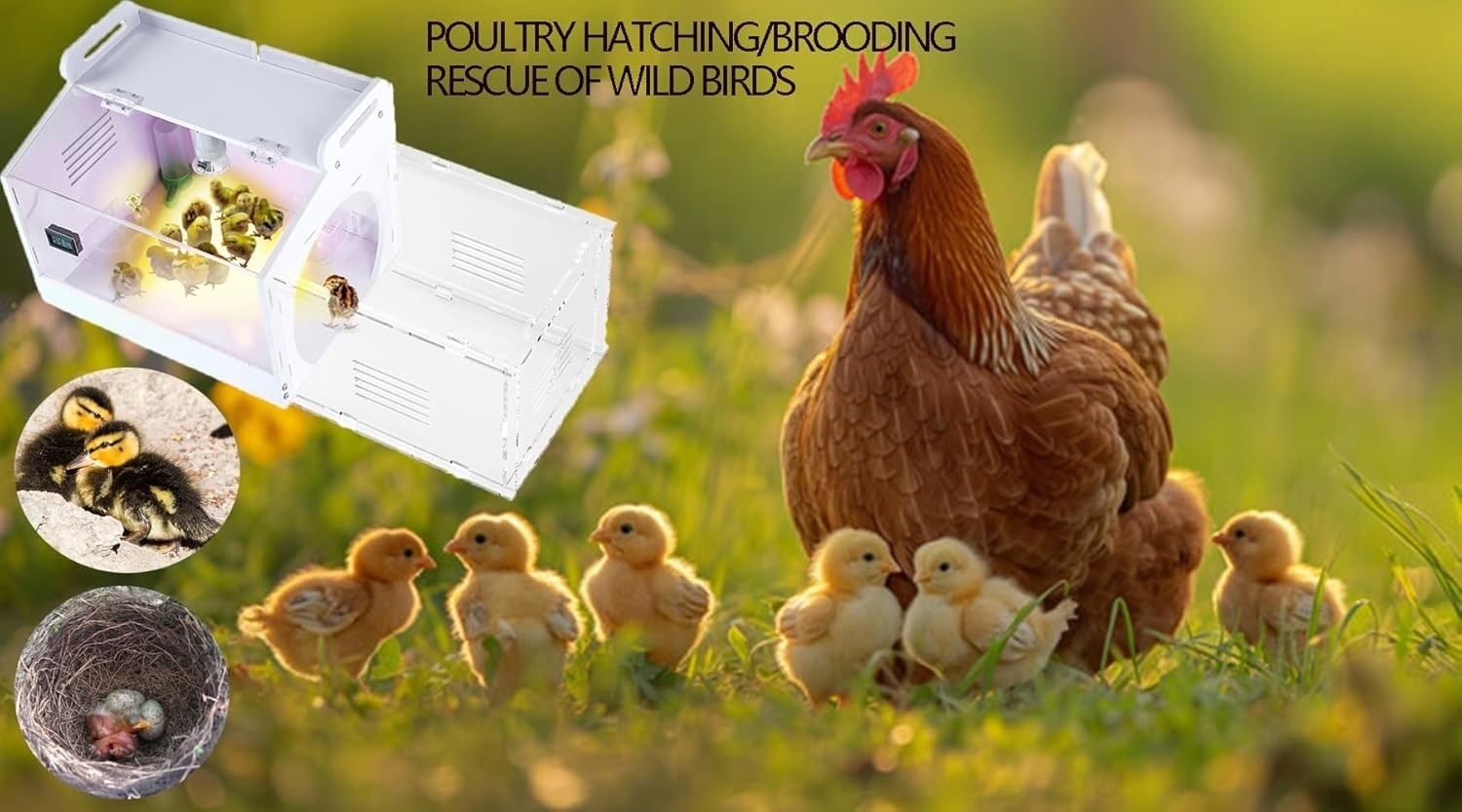 Large-Scale Chick brooder Box Quail Cage Egg Incubator Chick Starter Kit Chicken