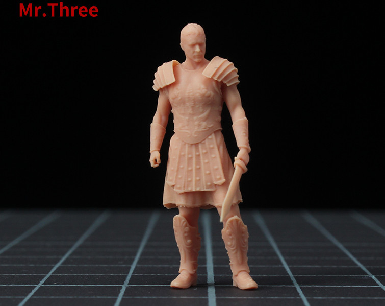 3D PRINT 1/64 gladiator Roman General  Maximus War FIT 1:64 CAR street stand