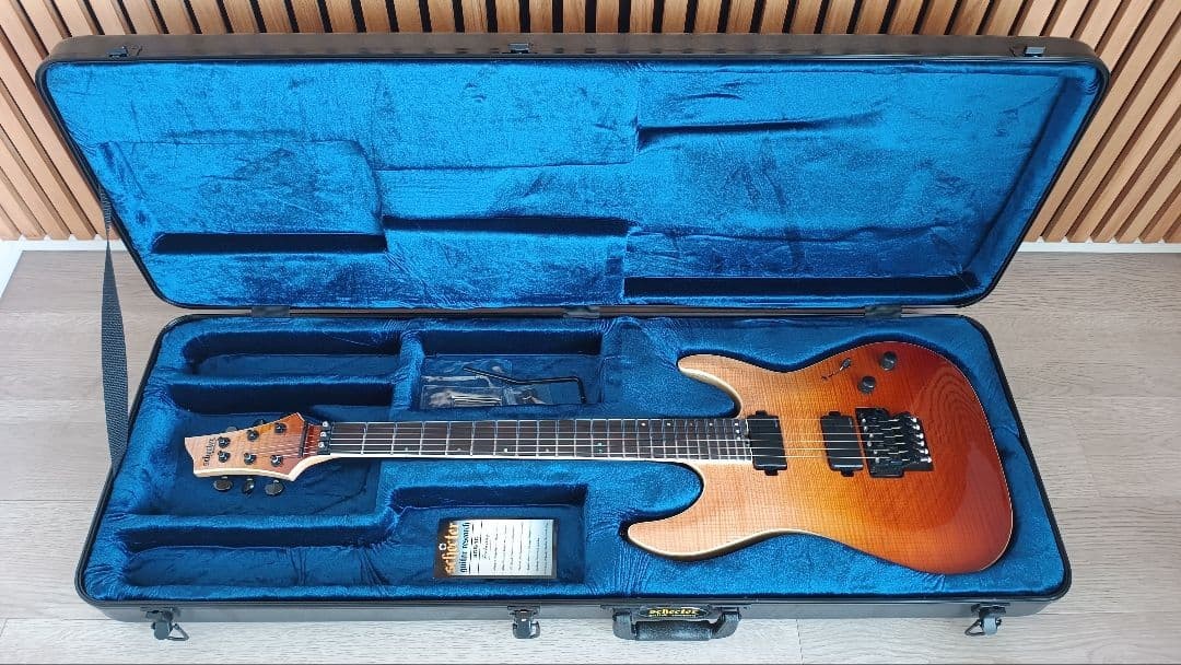Schecter Electric Guitar C-1 Fr Sls Elite