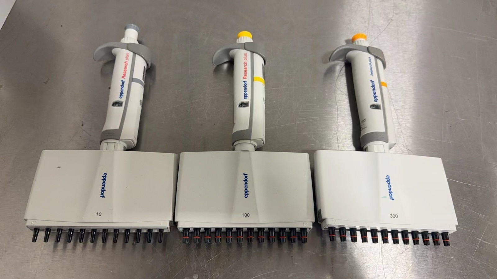 Set of 3 Eppendorf Research plus 12 Channel Multi pipette Range 10, 100, 300