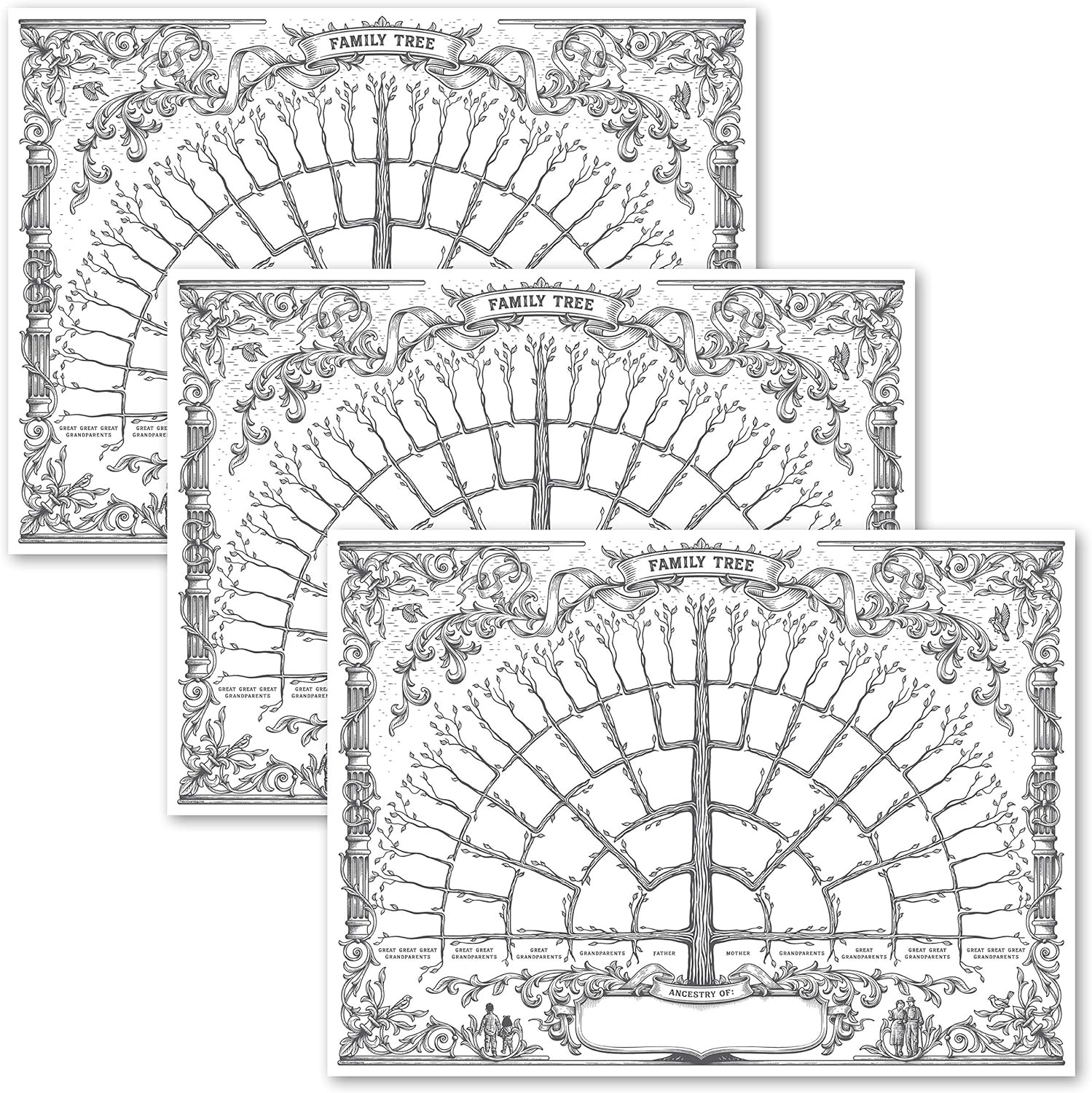 Palace Learning 3 Pack - Family Tree Chart To Fill In- 6 Generation 18 x 24