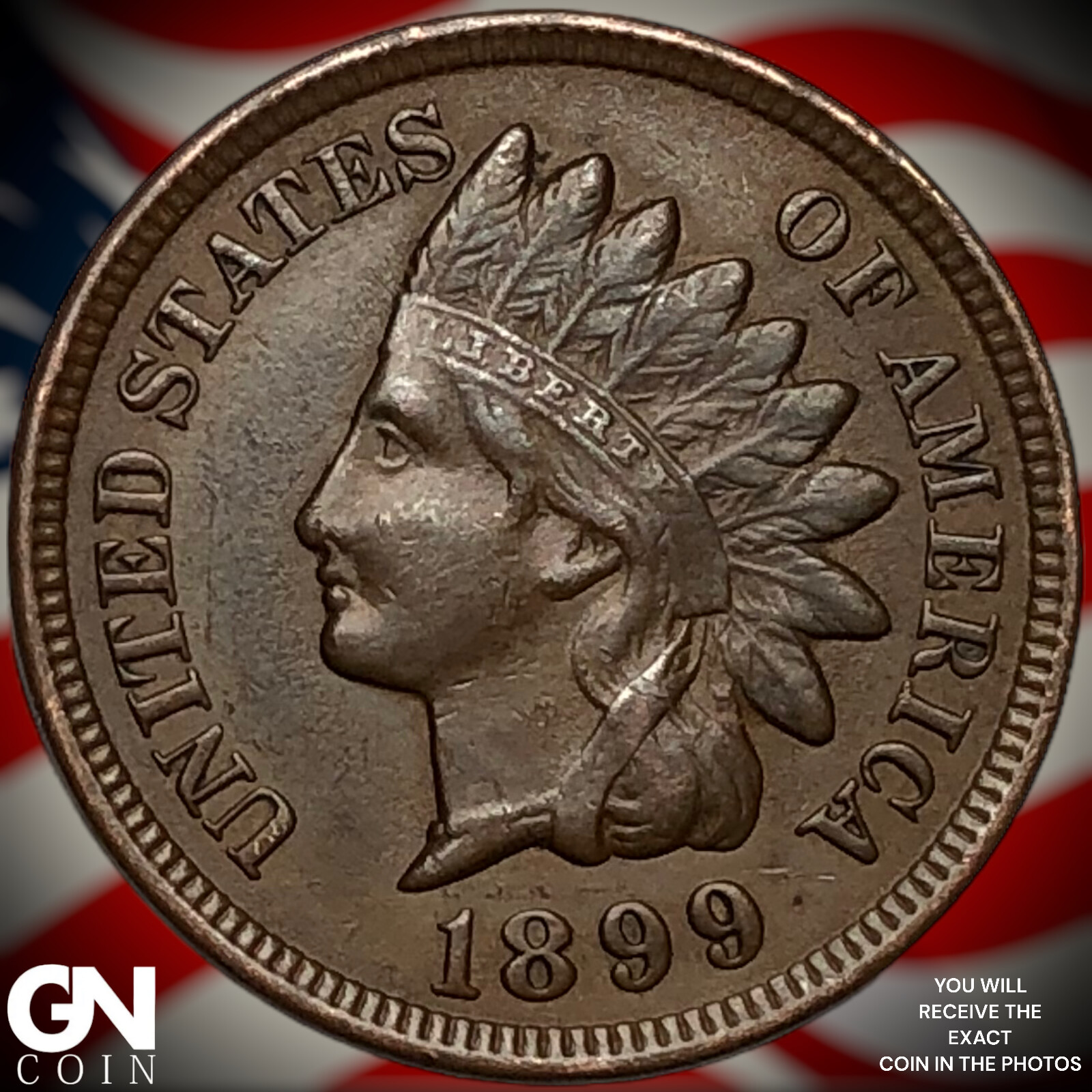 1899 Indian Head Cent Penny X2054