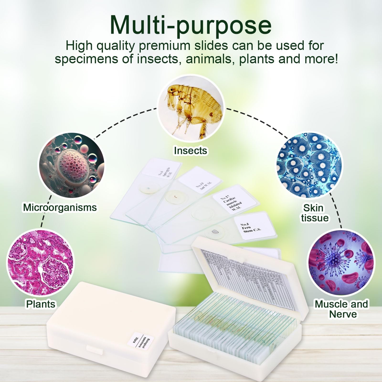 120 Microscope Slides Set with Specimens - Plant, Insect, Animal, Algae for Scie