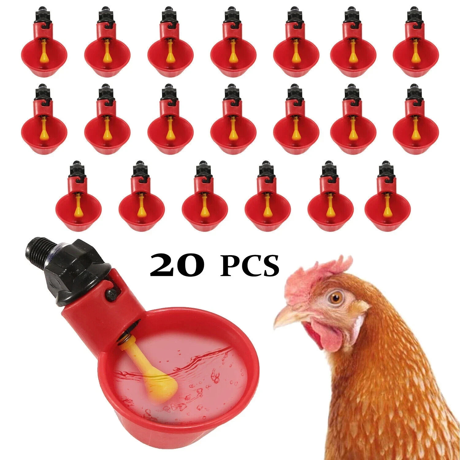 Poultry Water Drinking Cups Chicken Hen Plastic Automatic Drinker Feeder