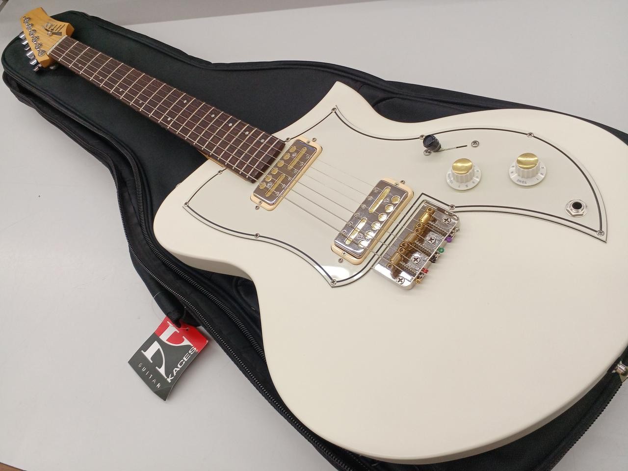 TITAN GUITARS KR-1 Custom Electric Guitar