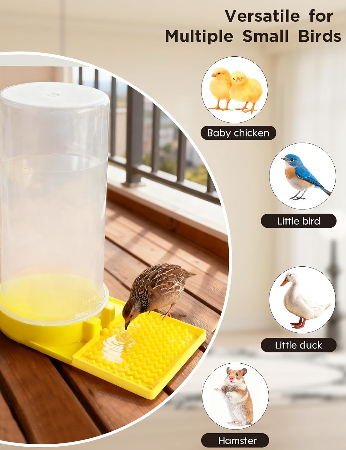Large Capacity Quail Water Feeder,Button Quail Supplies for Quail Cage Multi-Use