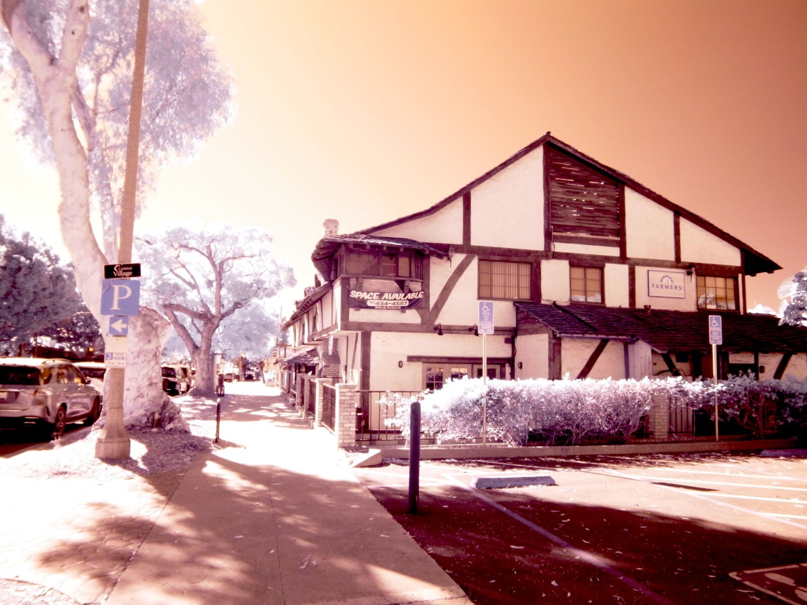 Infrared converted Camera Nikon D70 Full Spectrum