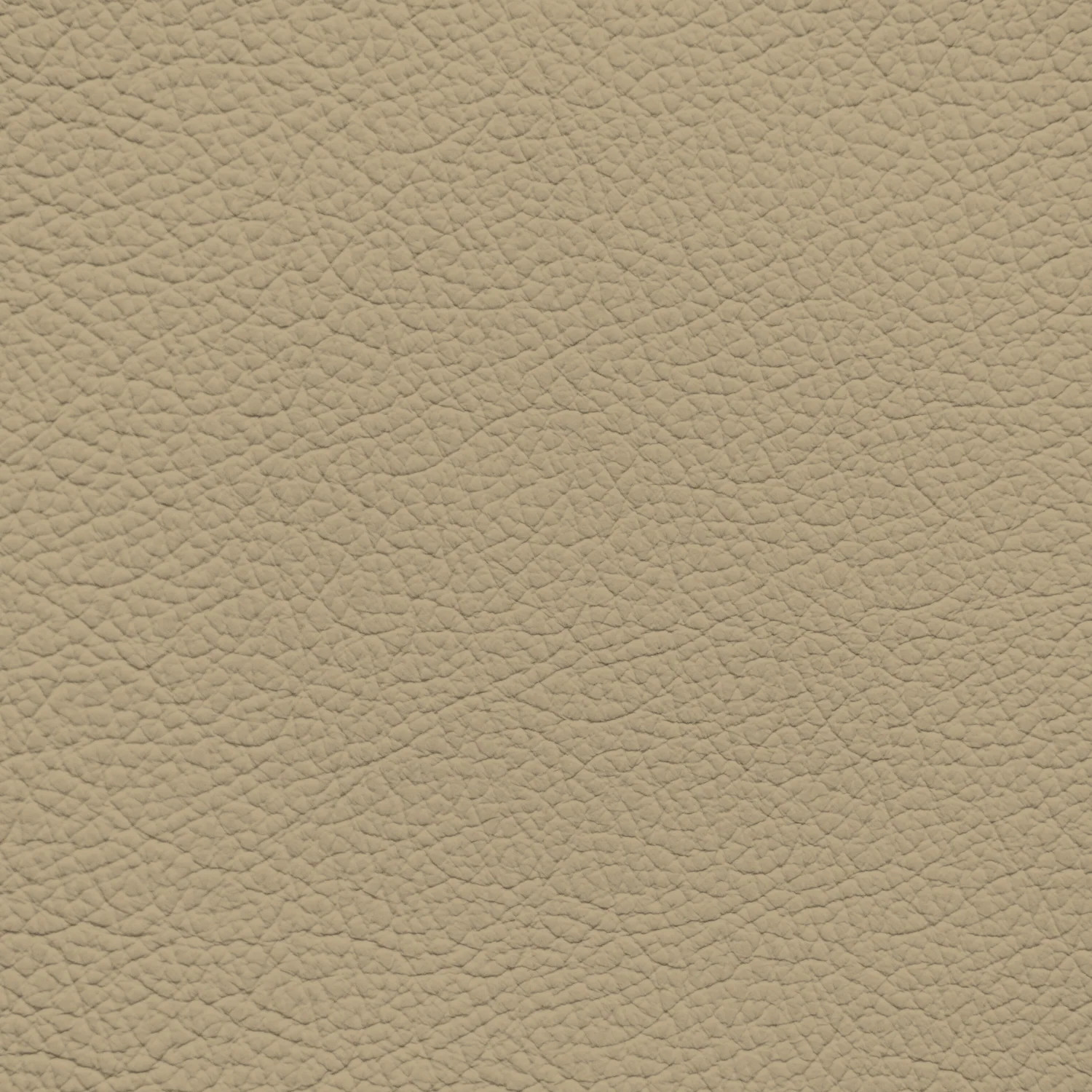GM Chai Beige Leather Dye