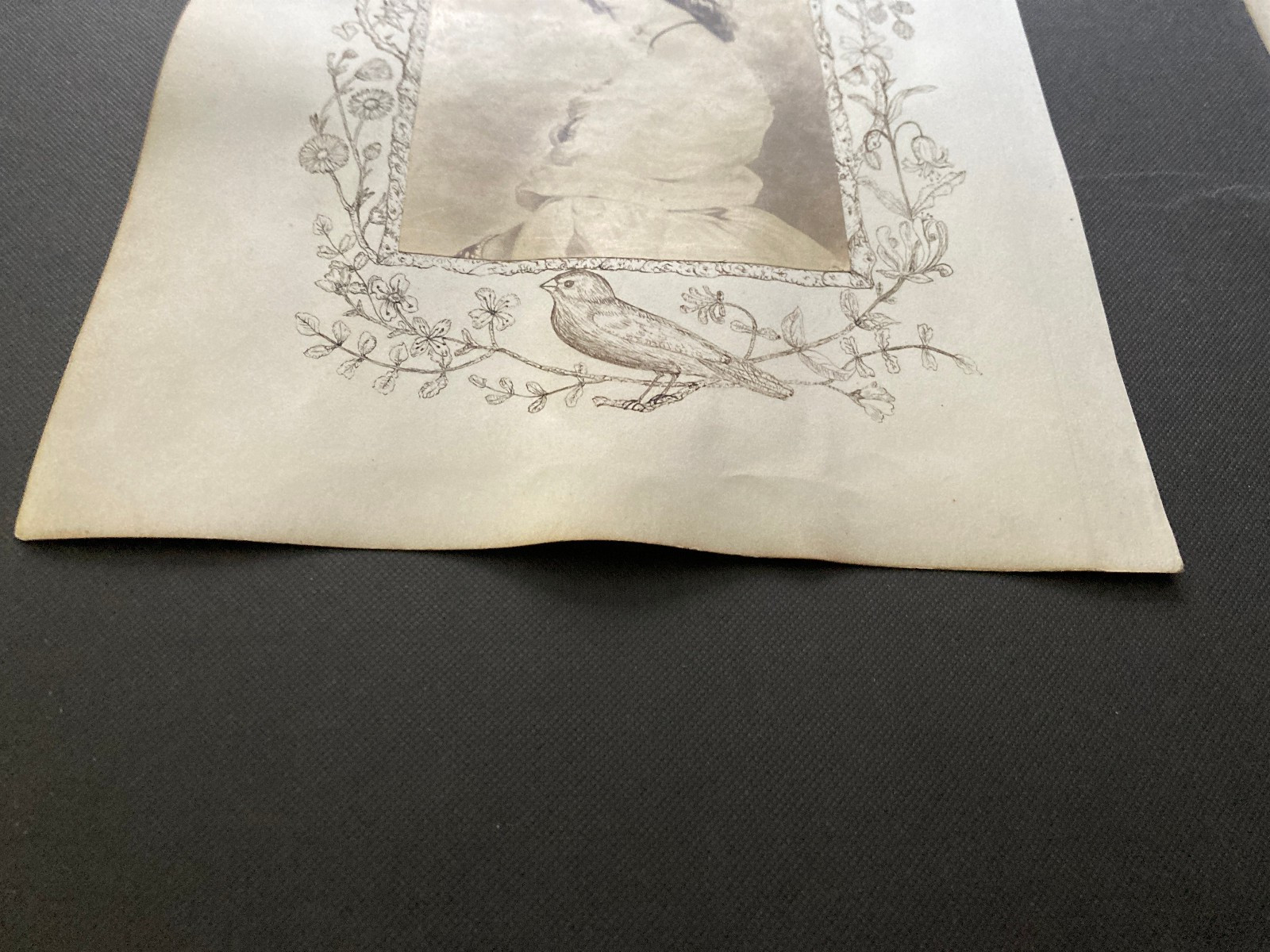 Victorian pen and ink border work around albumen art prints birds Landseer